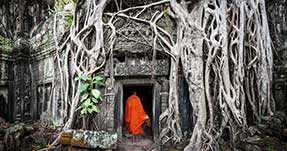 Jour 4 : Visite d'Angkor - environs